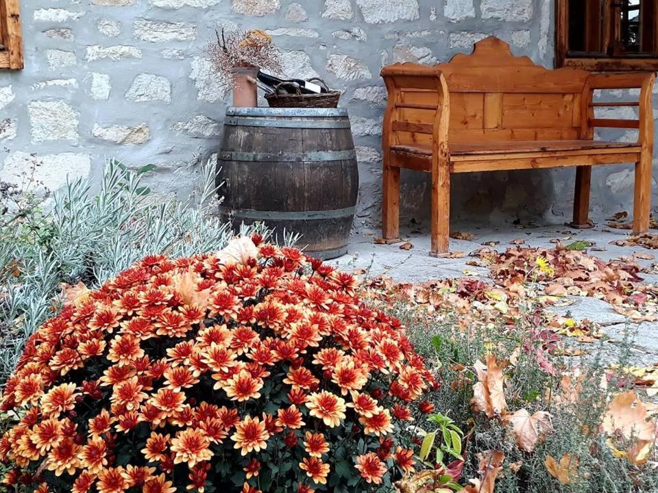Karádi-Berger Vendégház Erdobénye Exterior foto