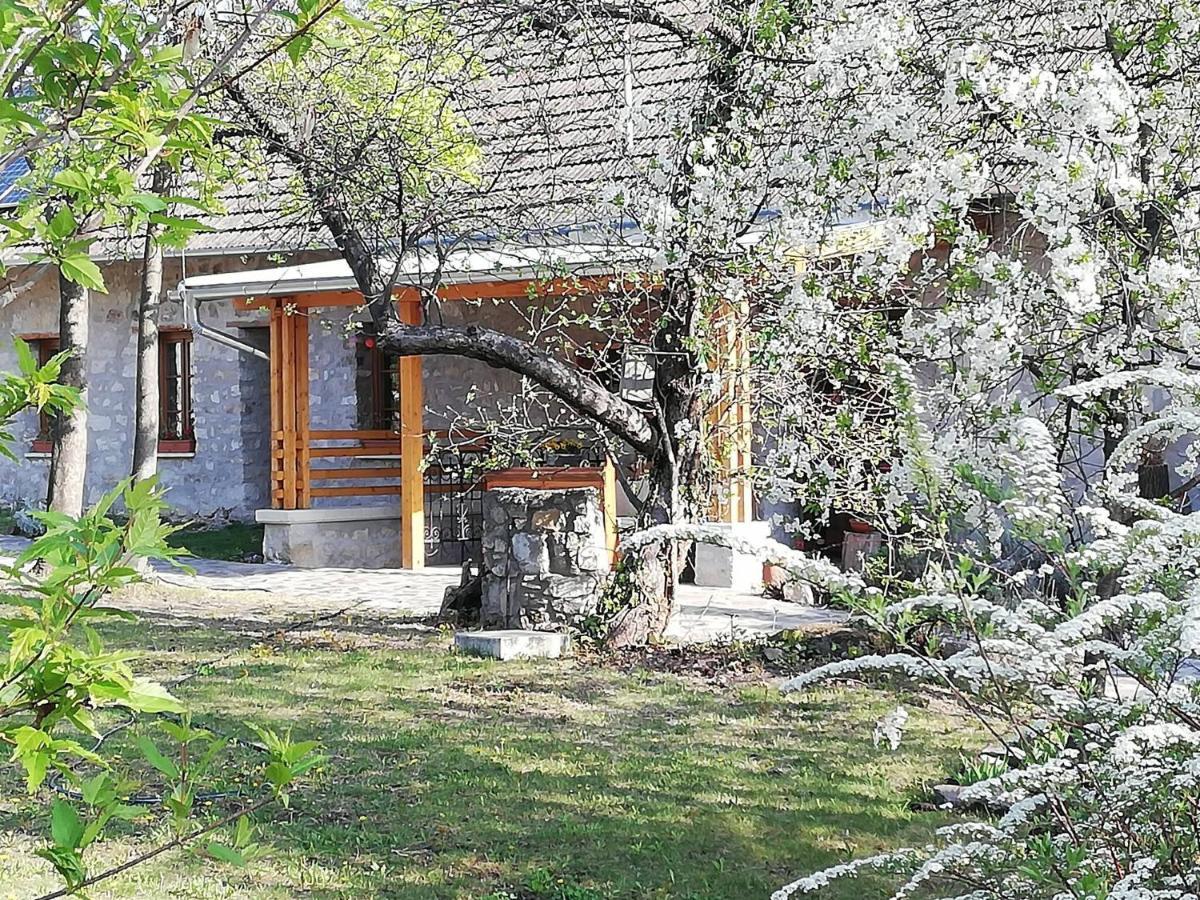 Karádi-Berger Vendégház Erdobénye Exterior foto