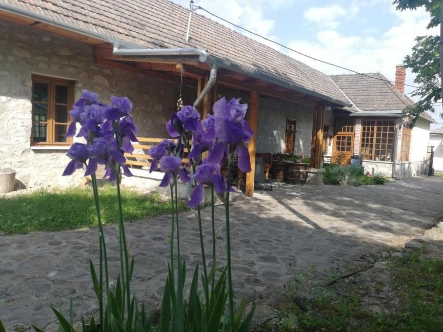 Karádi-Berger Vendégház Erdobénye Exterior foto