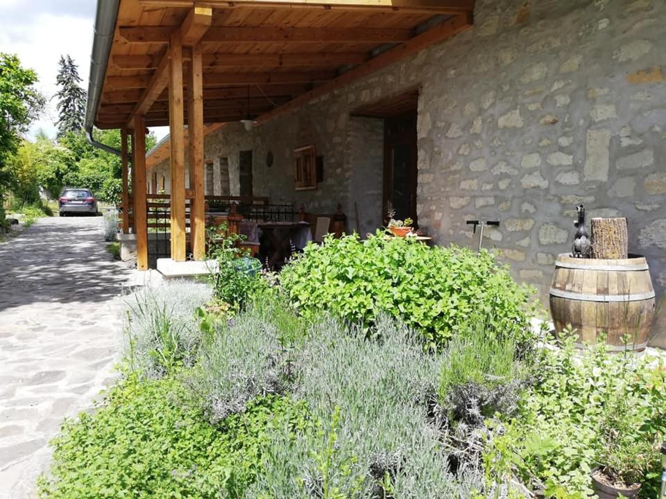 Karádi-Berger Vendégház Erdobénye Exterior foto